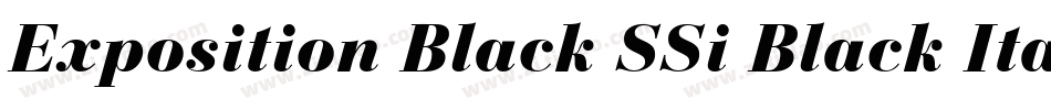 Exposition Black SSi Black Italic字体转换